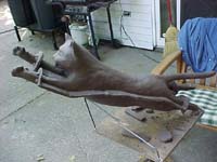 Clay cat